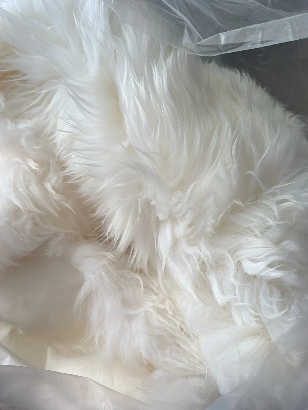 Restoration Hardware Natural Sheepskin Oversized Rug